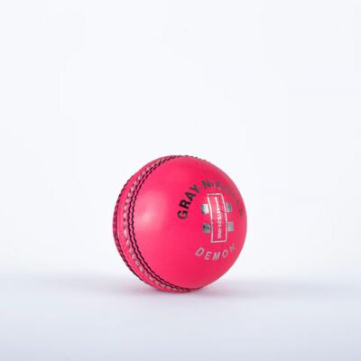 Demon 4pc Cricket Ball