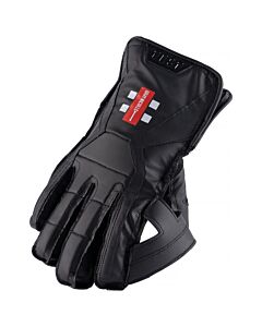 GN 1000 Wicket Keeping Gloves